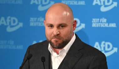 AfD feiert das SPD-Manifest zur Annäherung an Russland | Politik
