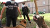 Mitglieder der italienischen Carabinieri stehen neben misshandelten Hunden. Die Verdächtigen sollen bei Dutzenden Hunden, unter anderem Pitbulls, die Ohren oder den Schwanz kupiert haben. Wie in Deutschland ist auch in Italien ist das Kupieren bereits illegal.
