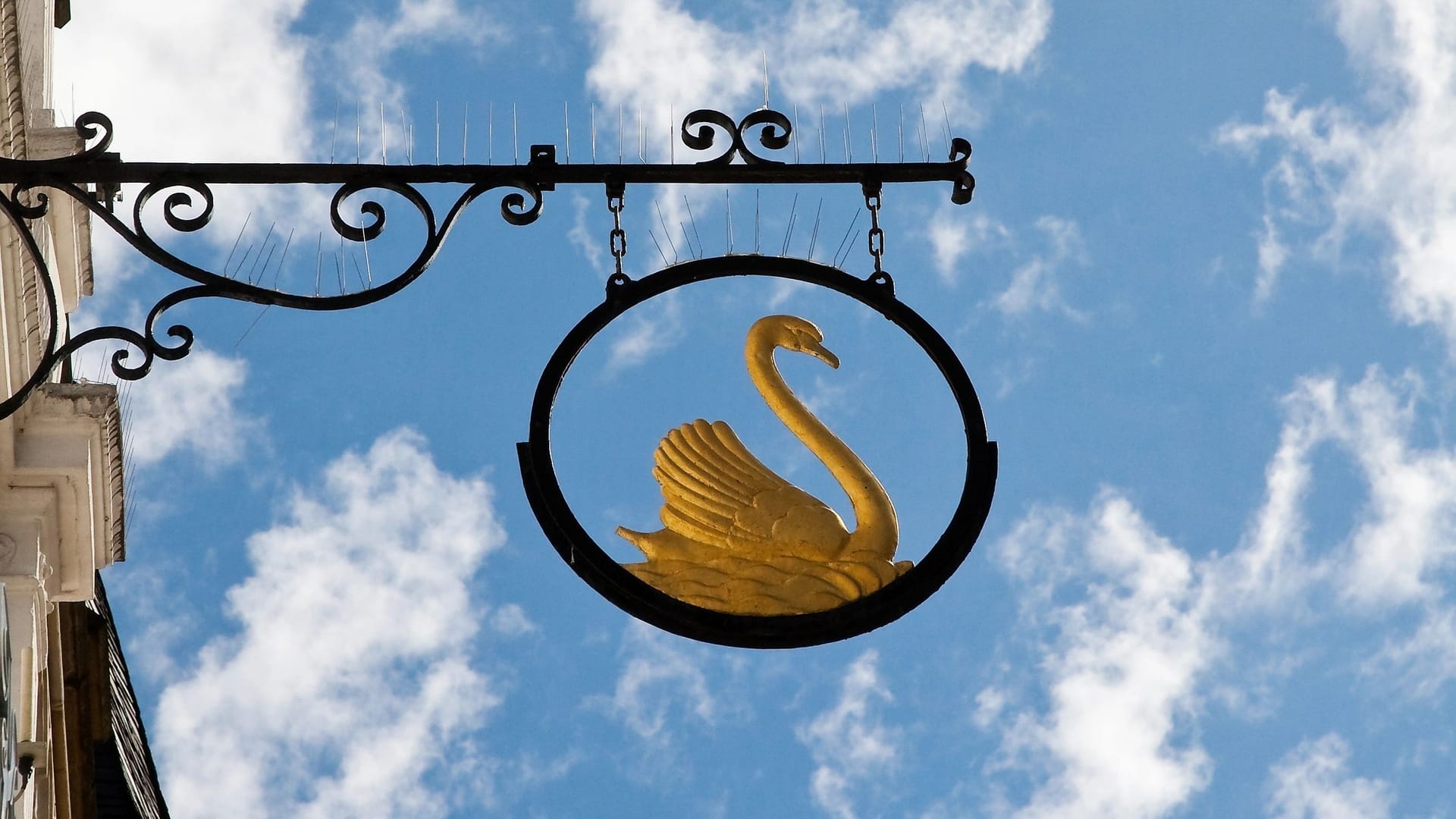 Signboard with swan in Aachen (Geramny)