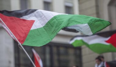 Demo gegen den Krieg in Gaza auf dem Hamburger Rathausmarkt | NDR.de - Nachrichten