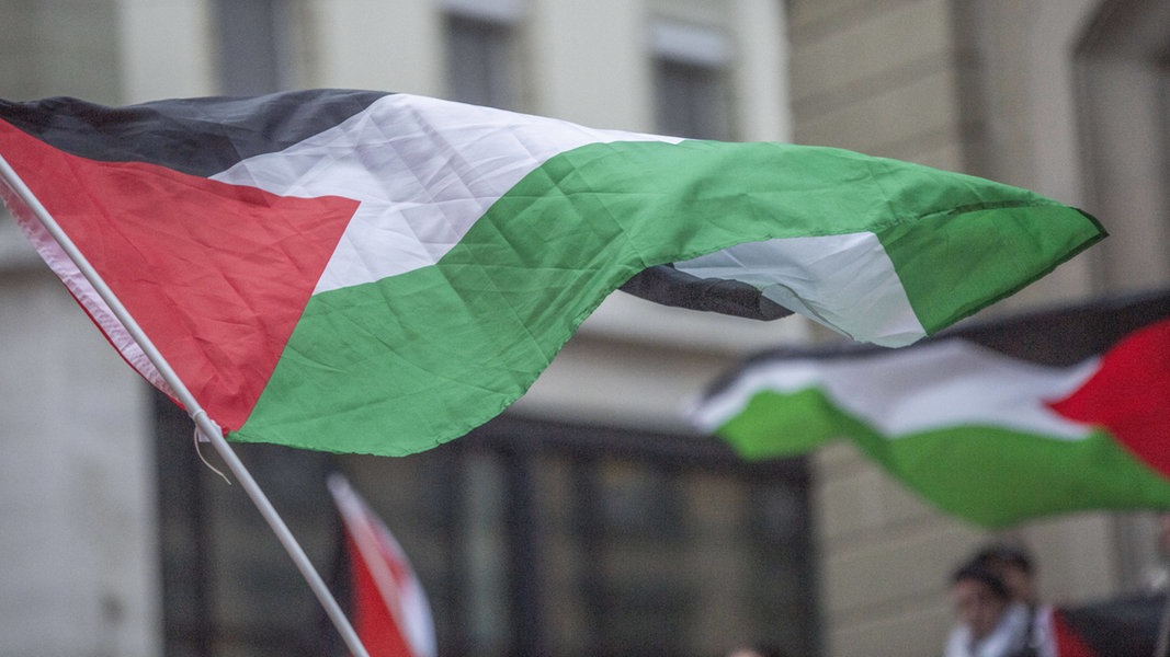 Demo gegen den Krieg in Gaza auf dem Hamburger Rathausmarkt | NDR.de - Nachrichten