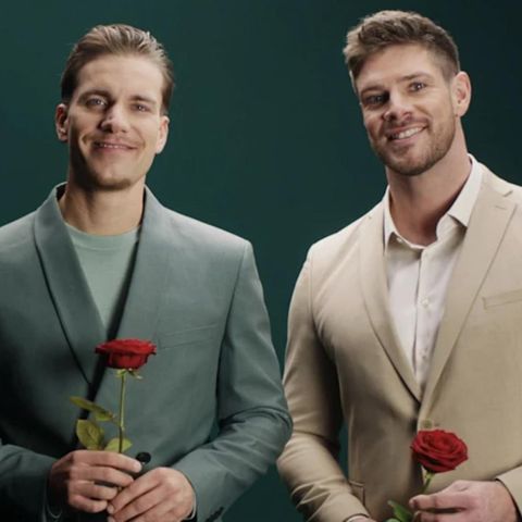Die Bachelors 2025
