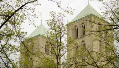 Dom in Münster Foto: Michael Bönte