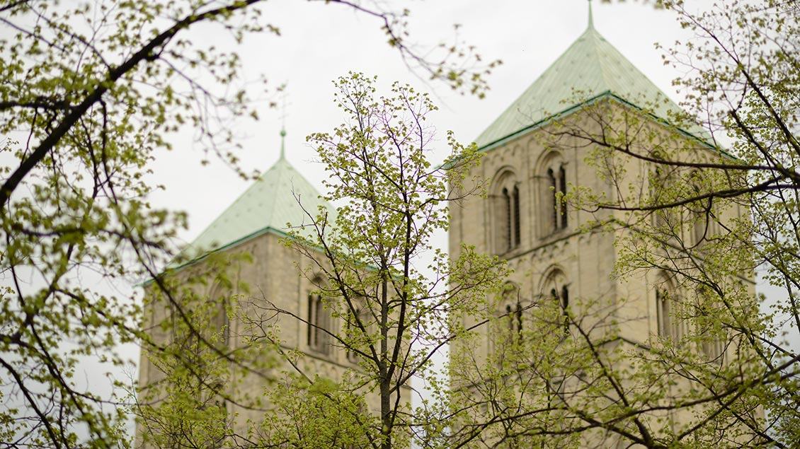 Dom in Münster Foto: Michael Bönte