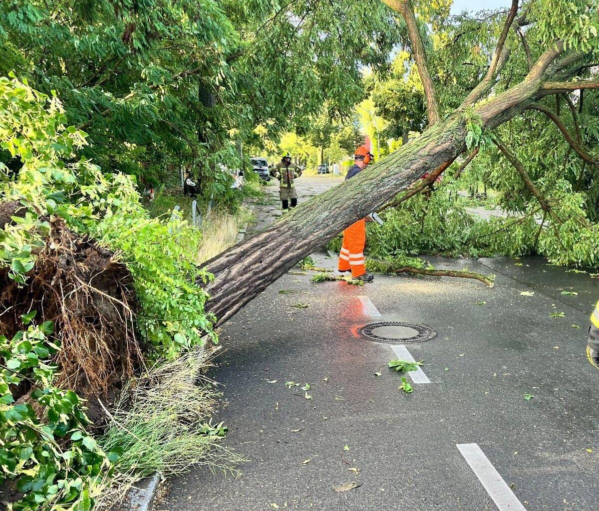 Unwetter ziehen über Teile Deutschlands