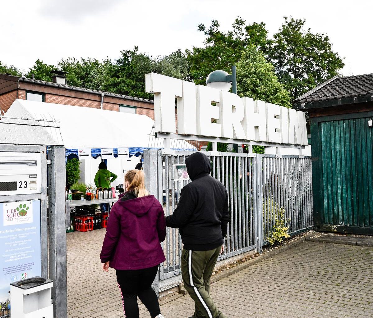 Tierheim in Bochum gibt Tipps im Umgang mit Hunden