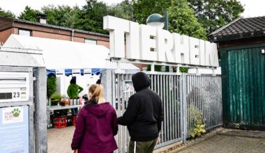 Tierheim in Bochum gibt Tipps im Umgang mit Hunden