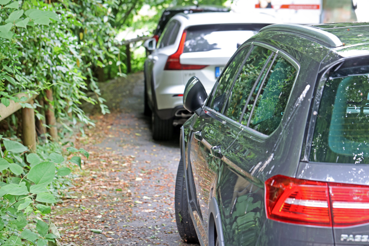 Duisburg: Frau hört Geräusch aus Auto - was sie findet, bricht ihr das Herz