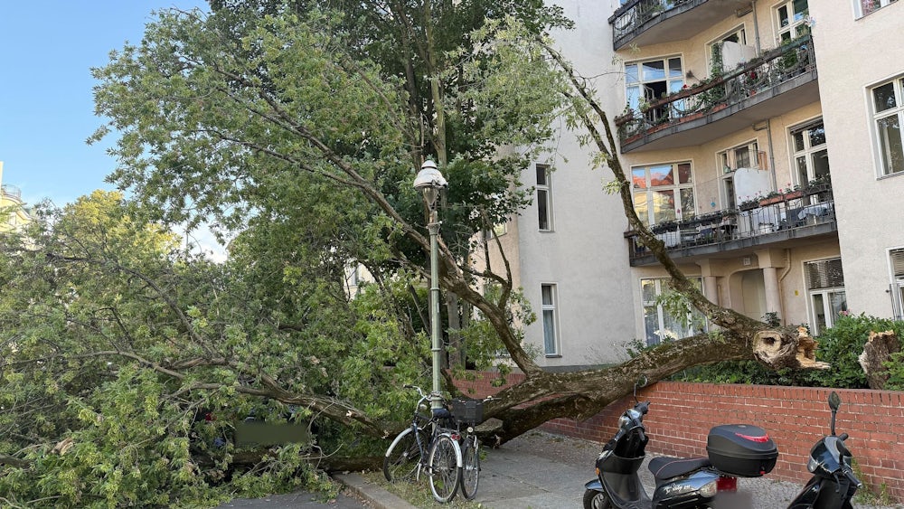 Um die Sturmschäden zu beseitigen, musste die Feuerwehr am Montagabend zu zahlreichen Einsätzen ausrücken.