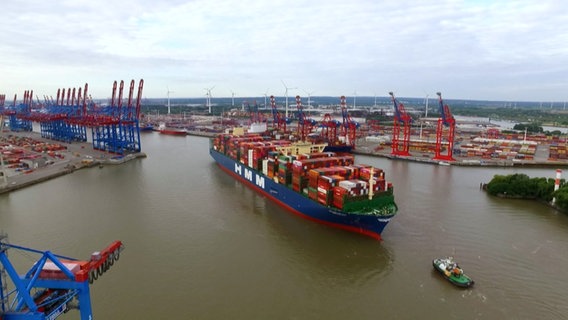 Containerschiff im Hamburger Hafen © Screenshot 