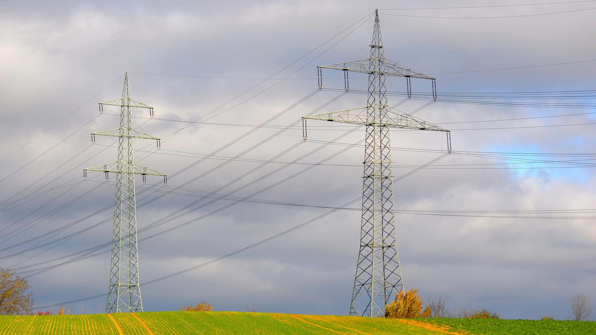 Elektrischer Überlandmast im Feld (Symbolbild): In Braunschweig unterbrach ein umgestürzter Baum die Stromversorgung.