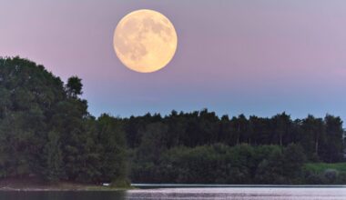 Wann und wo der Erdbeermond über Bremen am besten zu sehen ist