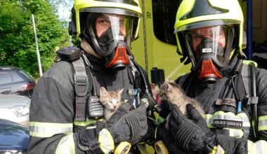 Familie und Katzen aus brennender Wohnung in Chemnitz gerettet