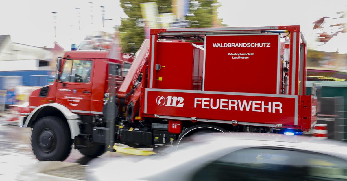 Brände und Tierrettung: Feuerwehr Wiesbaden im Dauer-Einsatz