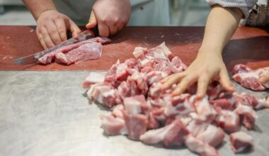 Verunreinigtes Fleisch in Frankreich: Kinder erkrankt, eins tot