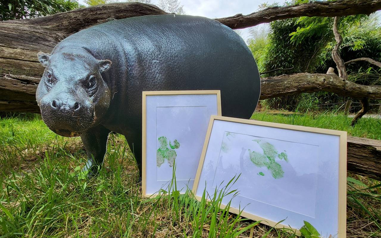 Das kreativste Outfit beim diesjährigen Zoolauf erhält zwei gerahmte Originalkunstwerke der Zwergflusspferde.