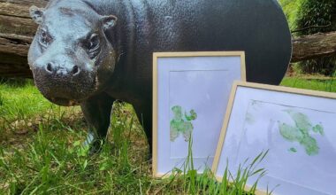 Zoolauf Duisburg: Tierische Kunstwerke als Ehrenpreis für beste Kostüme