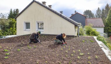 So bleibt die Wohnung auch ohne Klimaanlage kühl
