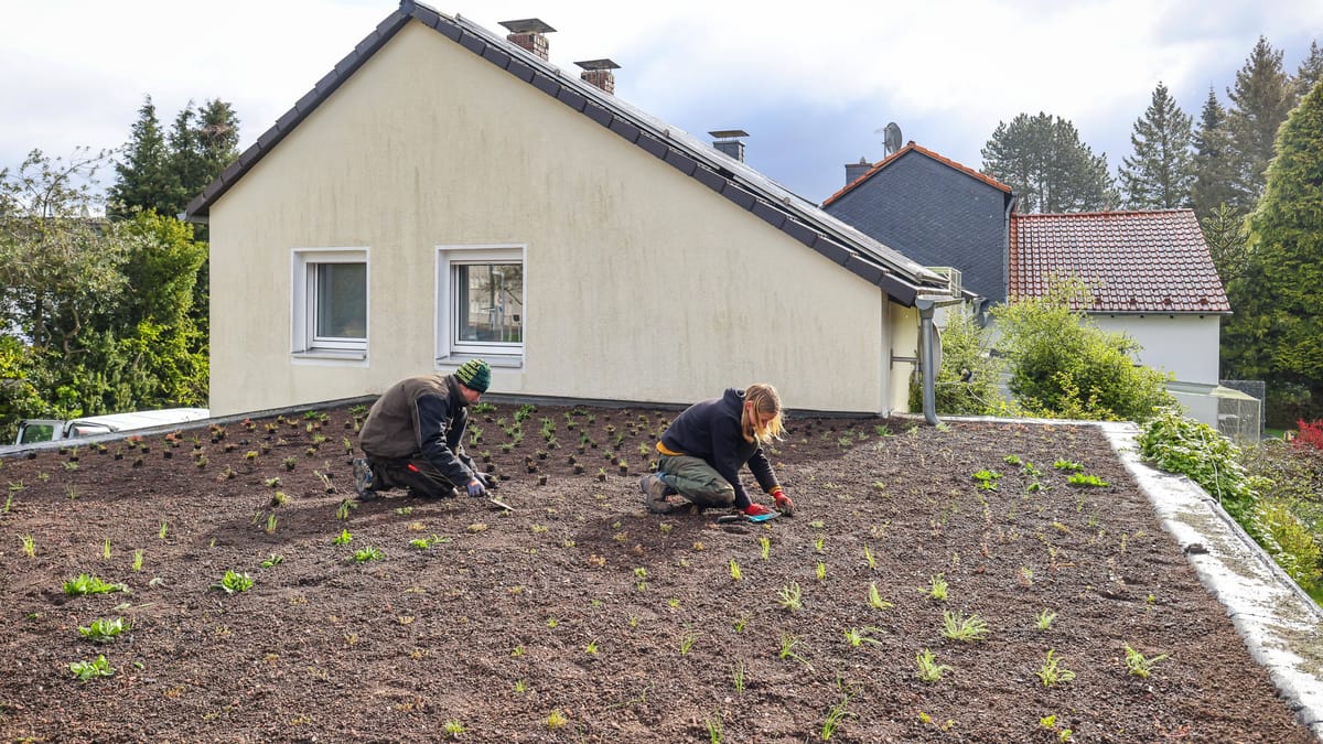 So bleibt die Wohnung auch ohne Klimaanlage kühl