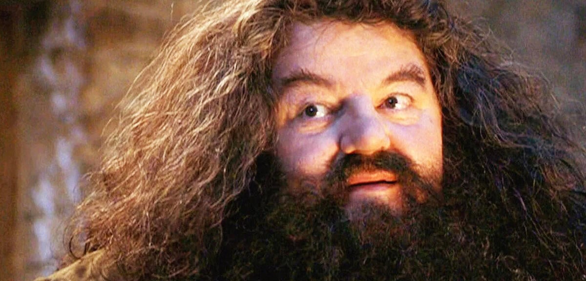 Neuer Hagrid in Harry Potter-Serie will dem Fanliebling eine andere Ausstrahlung verleihen
