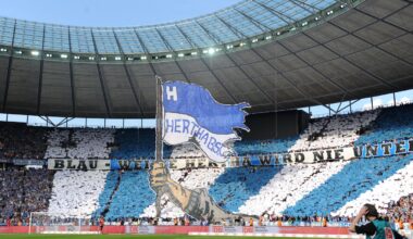 Wie ein Spandauer Sportverein von Hertha BSC profitieren will
