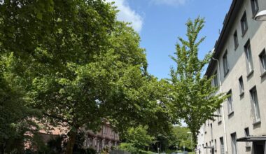 Ende in Essen für ein jahrelanges Ärgernis für Anwohner