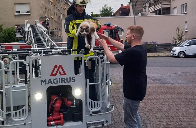FW-BO: Feuerwehr rettet hilflosen Kater "Loki" vom Dach eines Mehrfamilienhauses