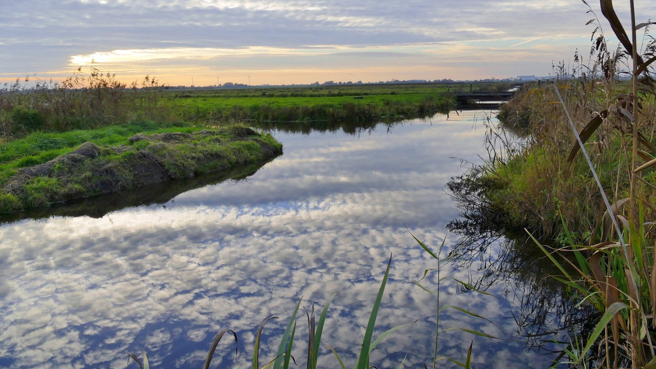 Diese 20 Naturschutzgebiete gibt es im Land Bremen