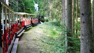 Waldeisenbahn Abreschviller, Frankreich (Foto: IMAGO / Dreamstime)