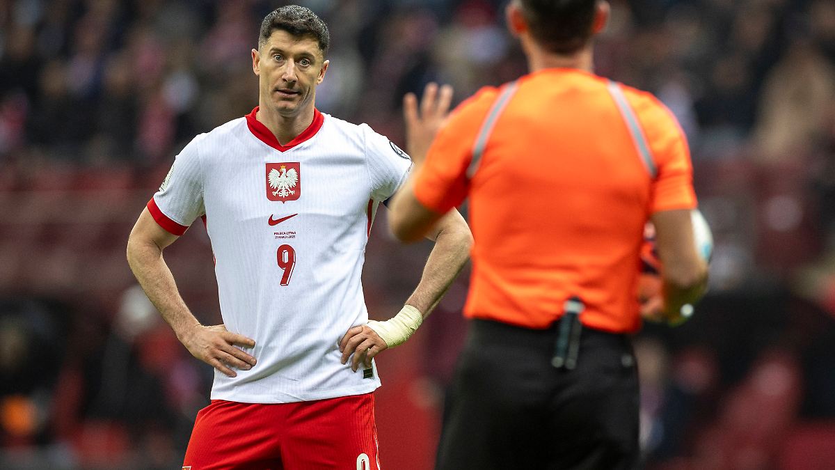 Robert Lewandowski boykottiert polnische Nationalmannschaft - Streit mit Trainer Michal Probierz