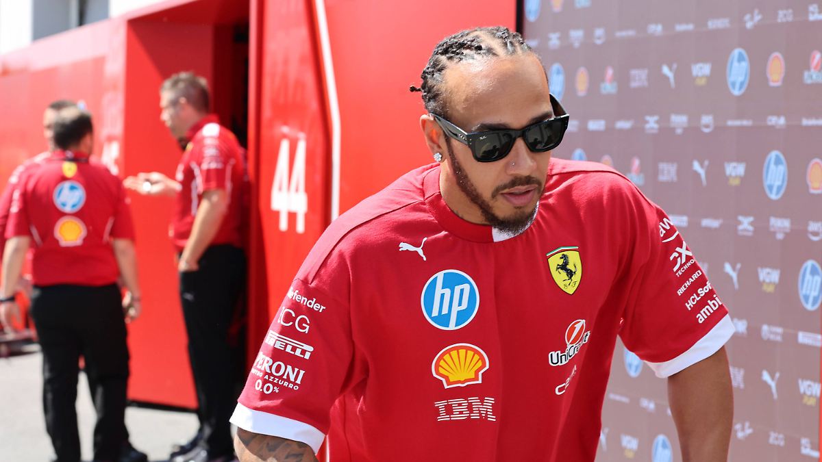 "Erschütternd", "traurig": F1-Rekordweltmeister Lewis Hamilton überfährt Murmeltier