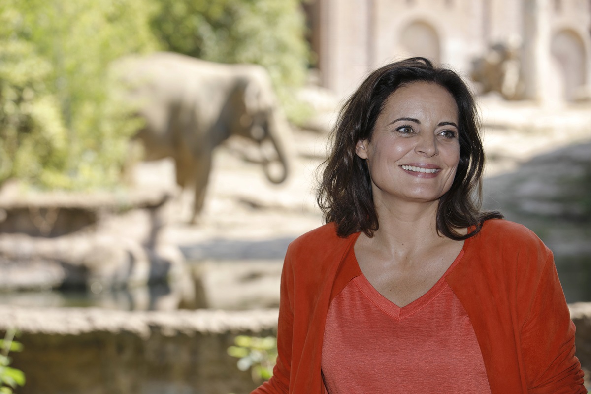 Zoo Leipzig: Nach Ausstrahlung von "Tierärztin Dr. Mertens" ist es deutlich