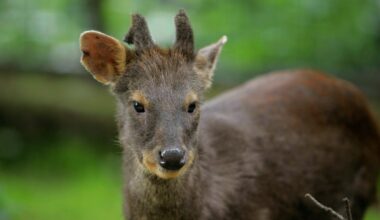 Zoo Leipzig: Vorfreude schlägt in Schock um! Tierpfleger mit tragischem Fund