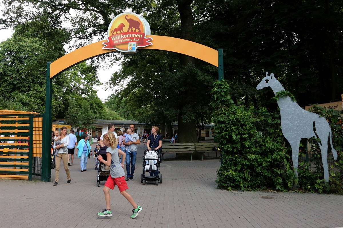 Zoo Hannover: Frau ist nach 30 Jahren zurück - am Eingang ist sie sprachlos