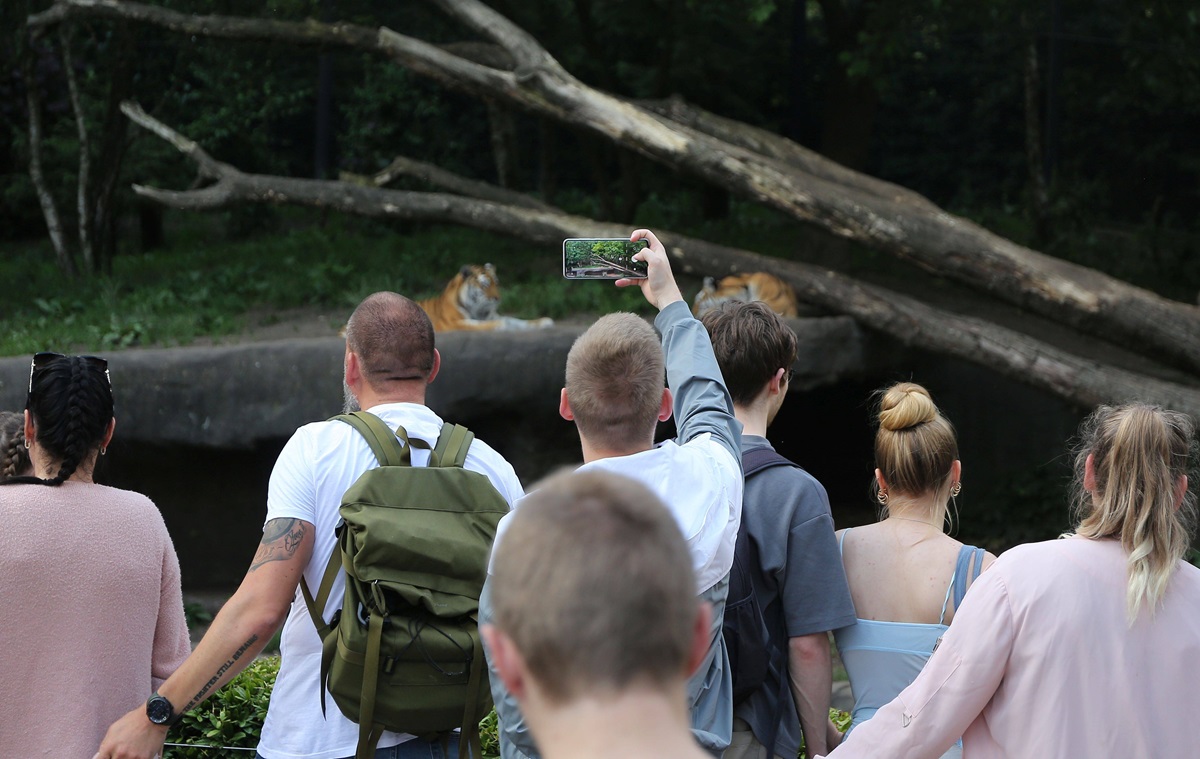 Zoo Dortmund: Komische Geräusche aus Gehege - Tierpfleger greifen ein