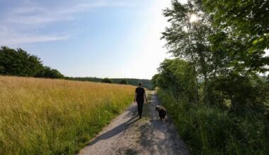 Neue Woche bringt wieder mehr Sonne - SR.de