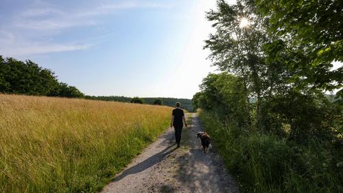 Neue Woche bringt wieder mehr Sonne - SR.de