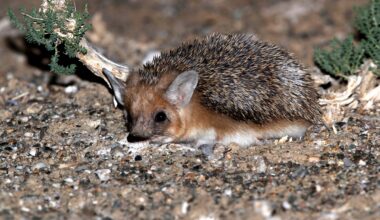 Zoo Leipzig: Emotionaler Abschied im Gondwanaland - "wird uns fehlen"