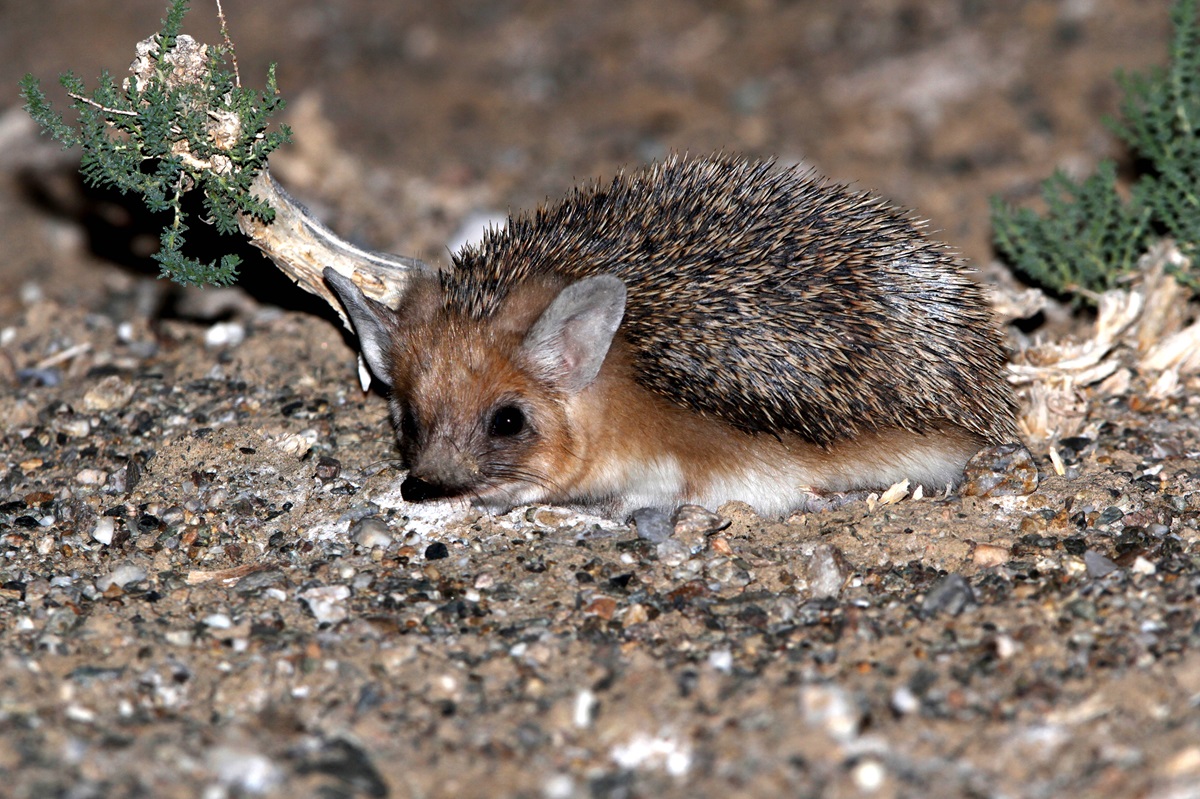 Zoo Leipzig: Emotionaler Abschied im Gondwanaland - "wird uns fehlen"