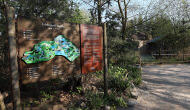 Zoom Gelsenkirchen: Tiere müssen den Zoo verlassen! Besucher außer sich