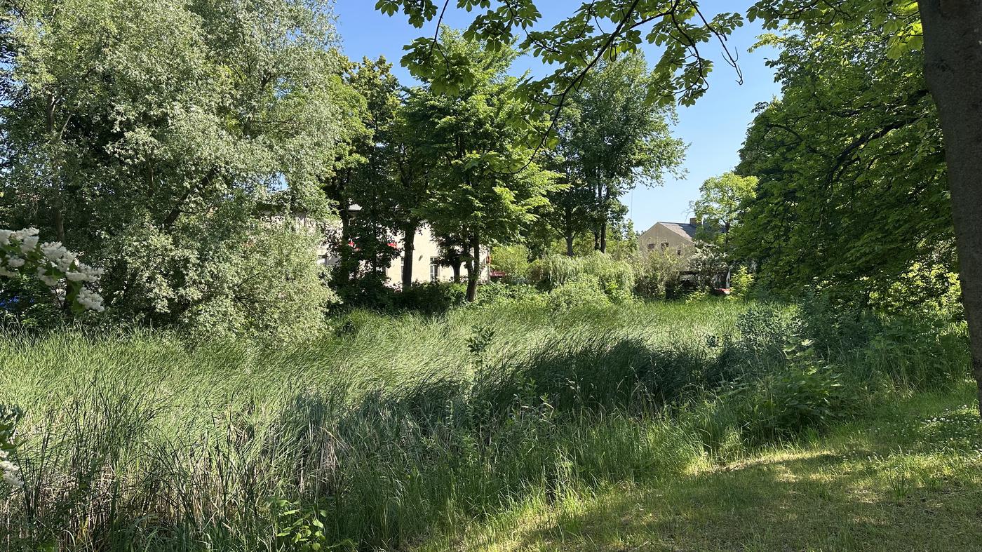 Dorfanger im Berliner Südosten soll umgestaltet werden