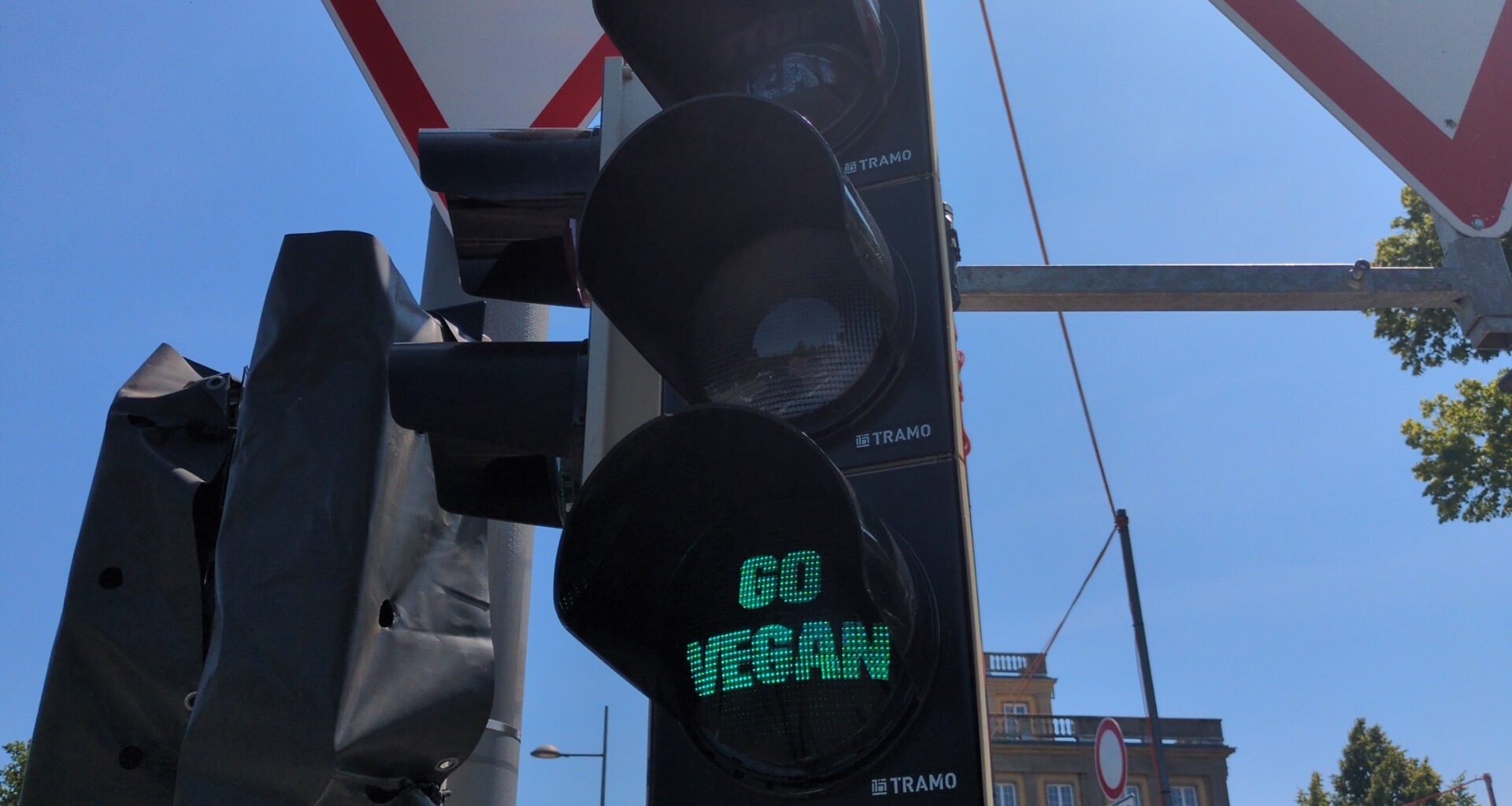 Was steckt hinter der jüngsten Ampelaktion von Animal Rebellion? · Leipziger Zeitung
