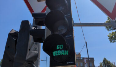 Was steckt hinter der jüngsten Ampelaktion von Animal Rebellion? · Leipziger Zeitung