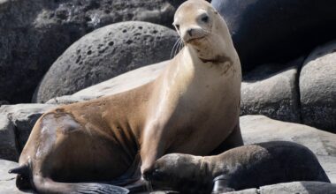 Traurige Erinnerungen für Zoo-Mitarbeiter in Gelsenkirchen