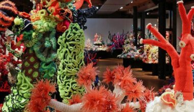 40.000 Korallen aus Wolle: Wie ein Museum den Meeresgrund nachbaut | NDR.de - Kultur - Kunst