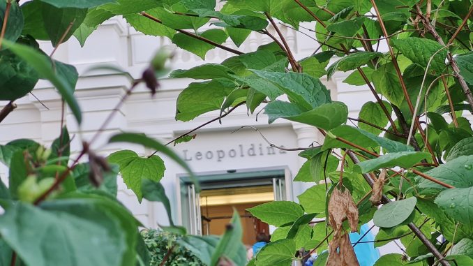 Leopoldina