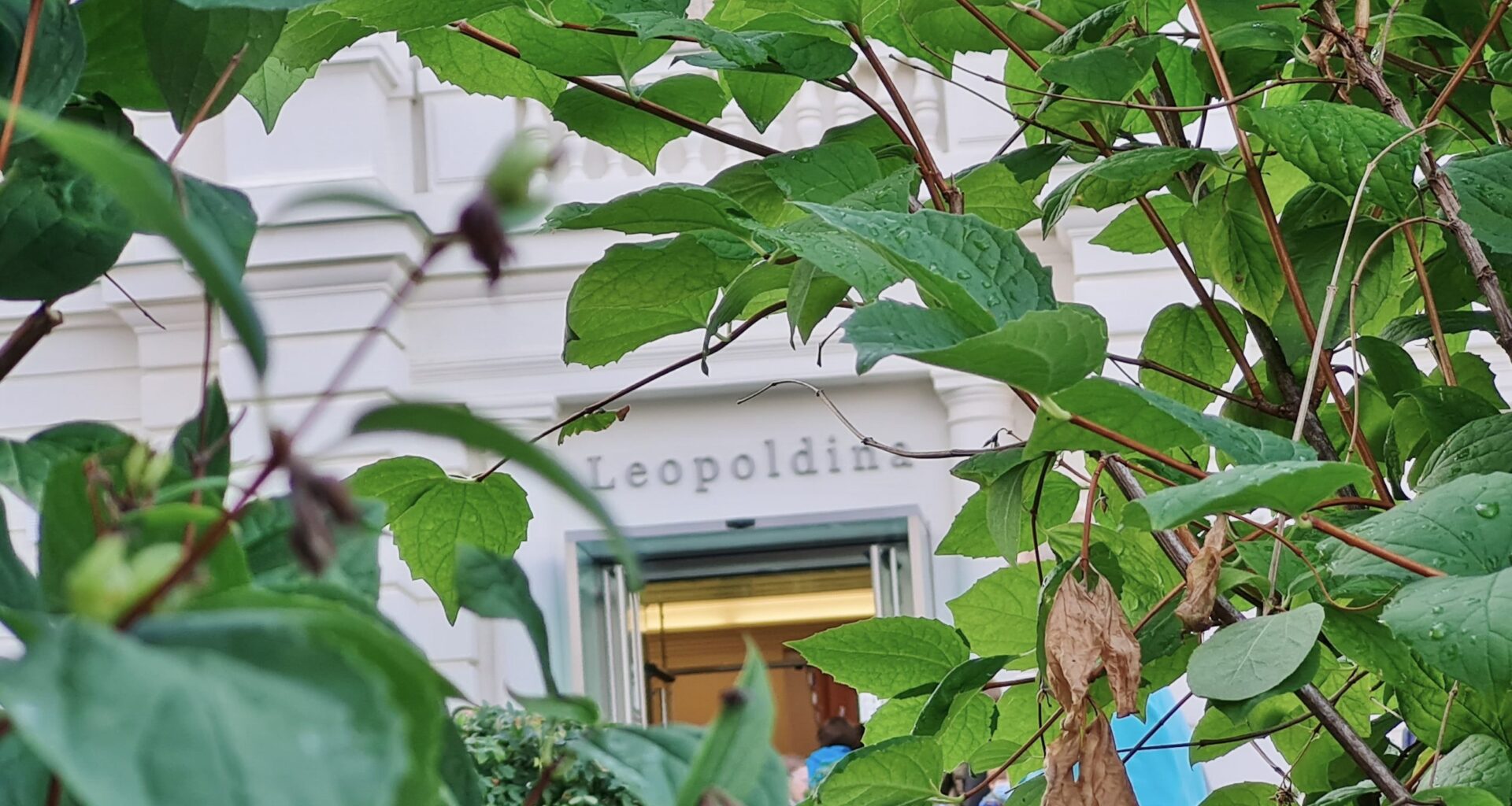 Mathematik-Nachmittag für Jung und Alt in der Leopoldina