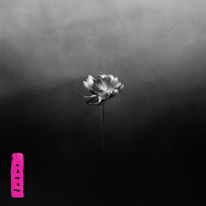 Review: Little Simz - „Lotus“ – Sehr britisch — Rolling Stone