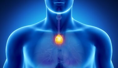 Ohne Thymus würde sich der Körper selbst zerstören