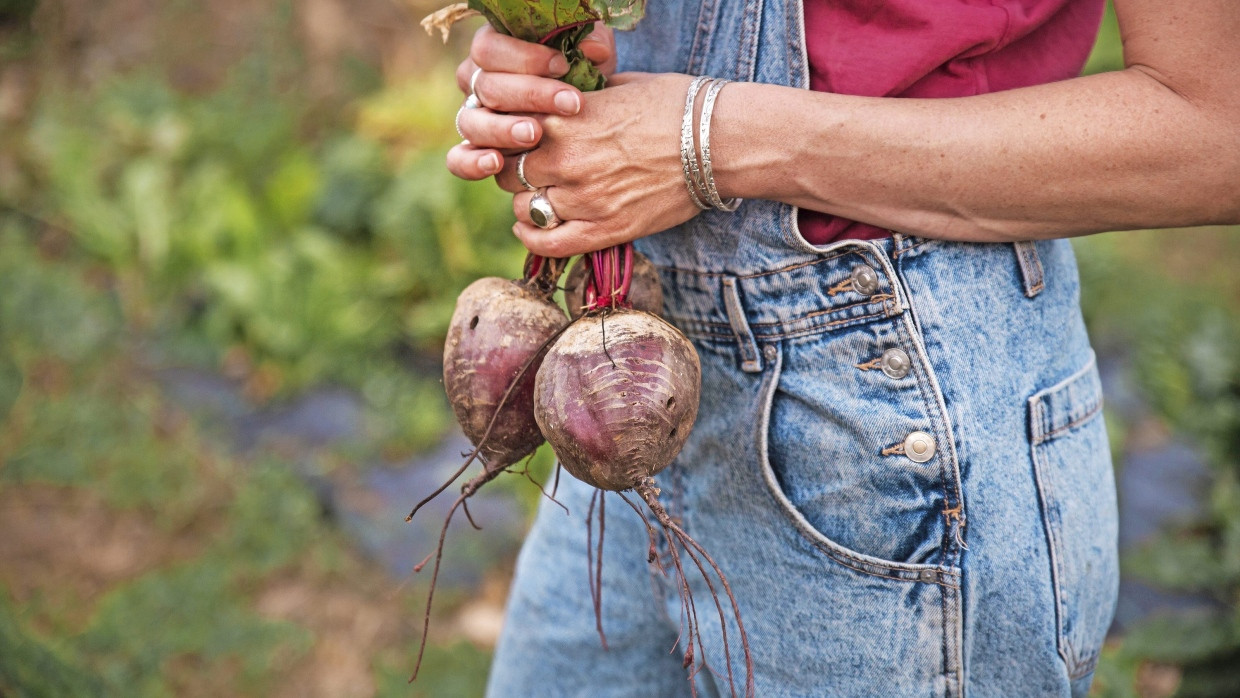 Manche fallen in die Jauchegrube, andere ziehen in eine Hippiekommune: So ist das Landleben in Martina Behms Roman.